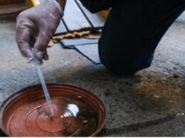 WhatsApp Image 2025 05 29 at 10.00.33