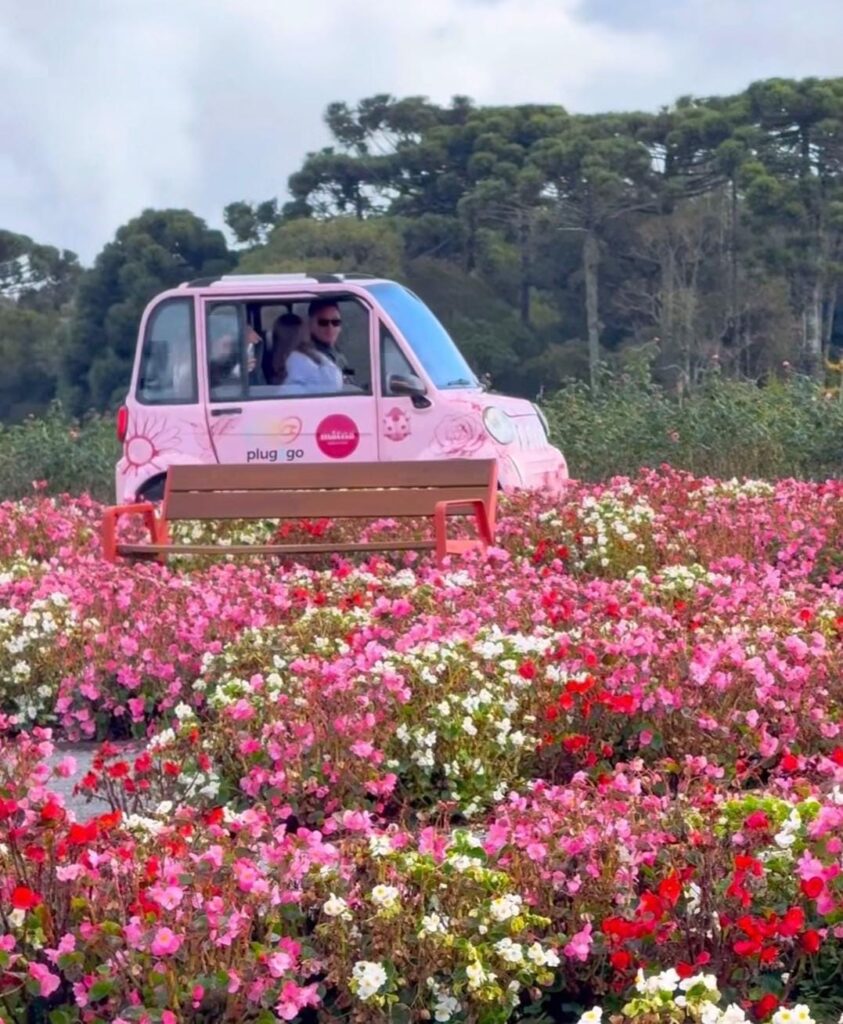 f95d8cd9 38f6 4291 9738 3692c156bcf2