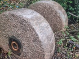 3c56e2a2 7e73 4620 a44e 7962c5668220