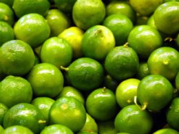 552c8d1d 3c8c 4e89 967a 7086b7958585