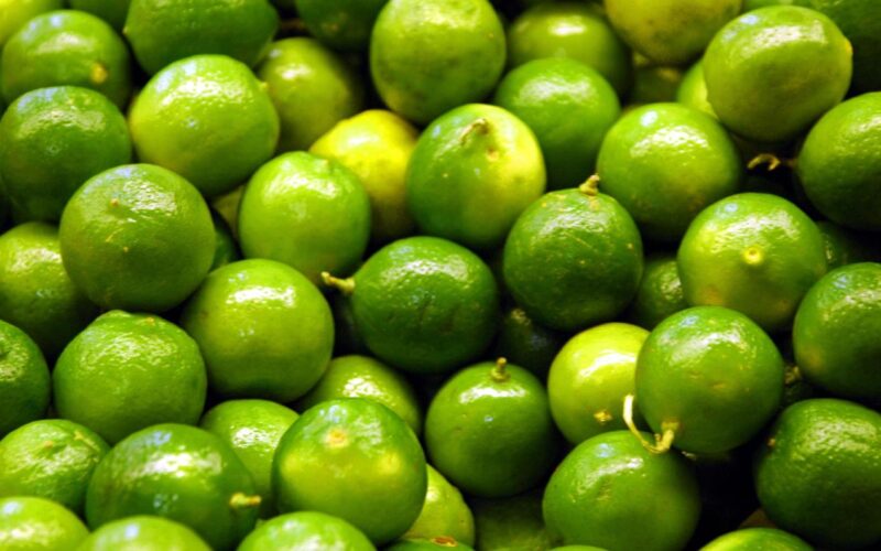 552c8d1d 3c8c 4e89 967a 7086b7958585