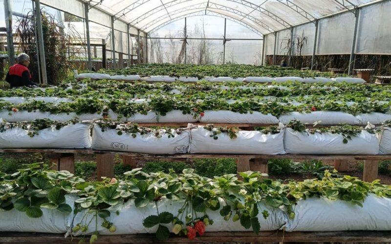 c21aecb1 ddf1 440e b175 f0188f9ca5f4