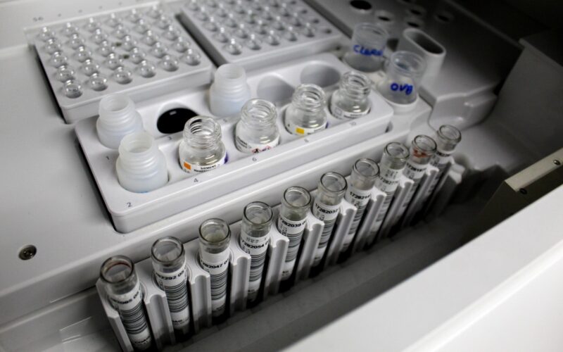 1ff5481e eb19 4b8b 89f9 fe36b2070c66