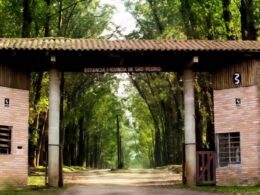 Screenshot 20251012 201342 Instagram