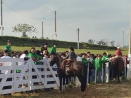IMG 7571