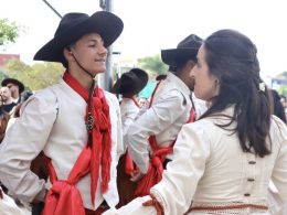 IMG 8531