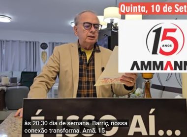capa 1136